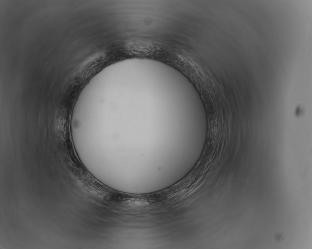 X0000094380749200711242022