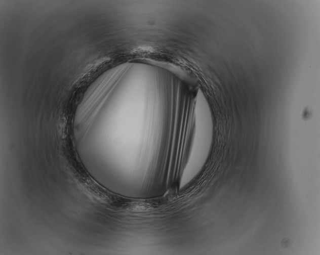 X0000094380750200711242022