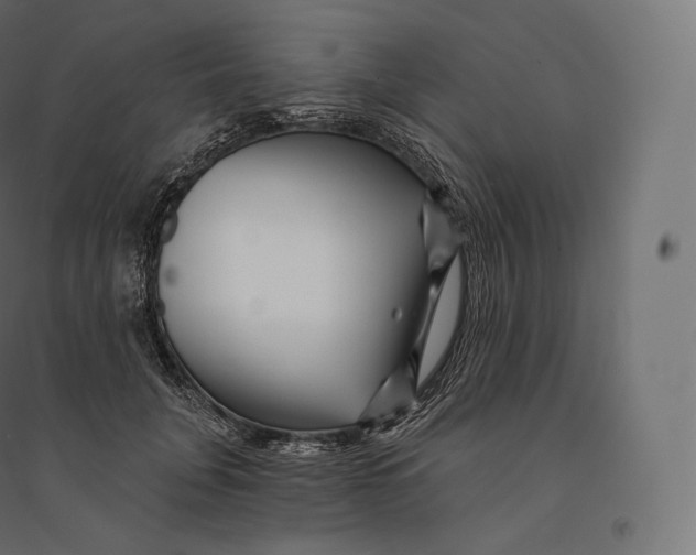 X0000094380751200711242022