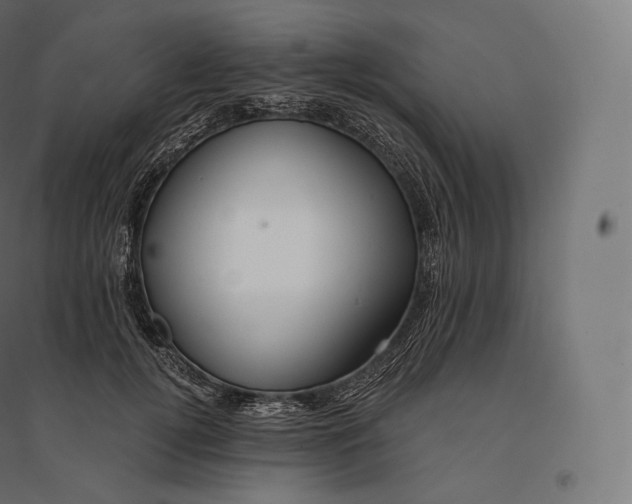 X0000094380752200711242022