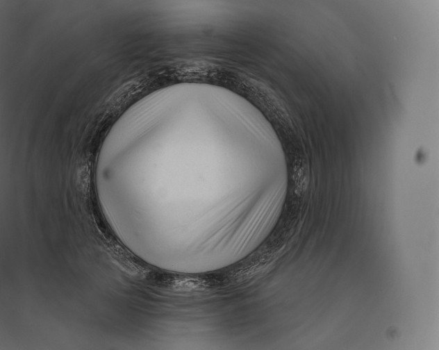 X0000094380753200711242022