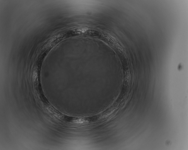 X0000094380754200711242022