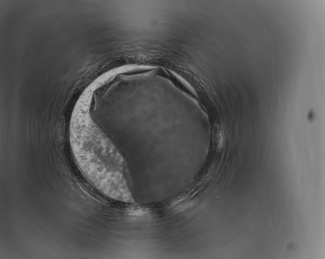 X0000094380760200711242022