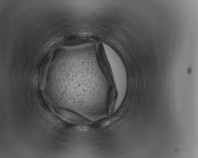 X0000094380762200711242022