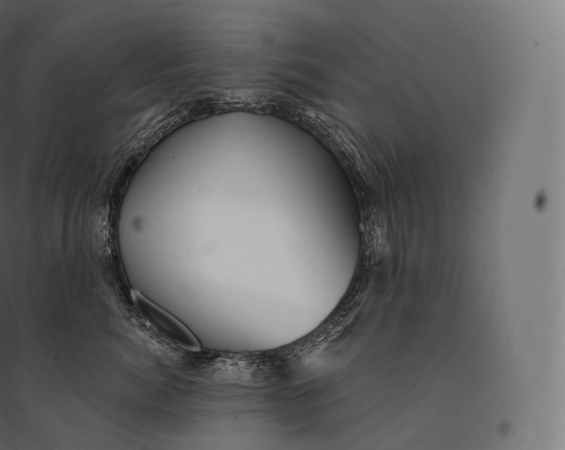 X0000094380764200711242022