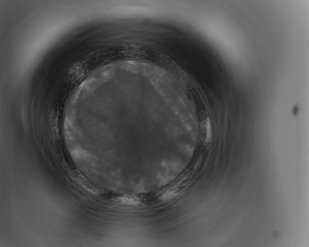 X0000094380765200711242022