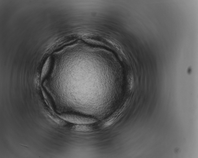 X0000094380766200711242022
