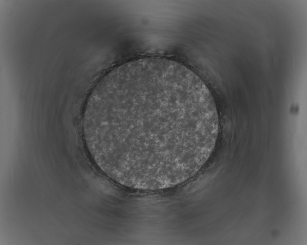 X0000094380769200711242021