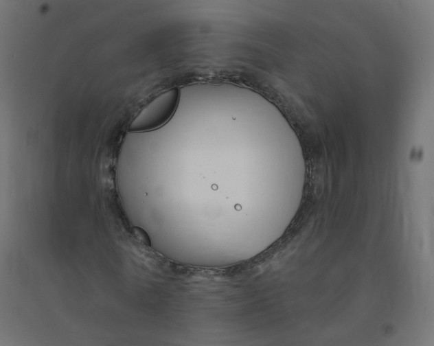 X0000094380770200711242021