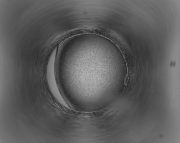 X0000094380773200711242021