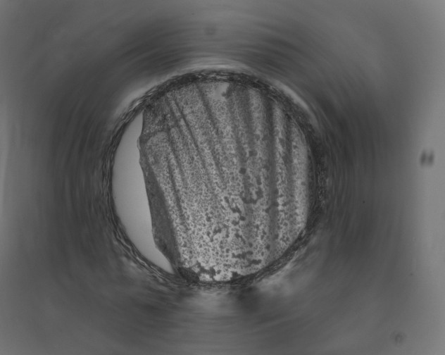 X0000094380775200711242021