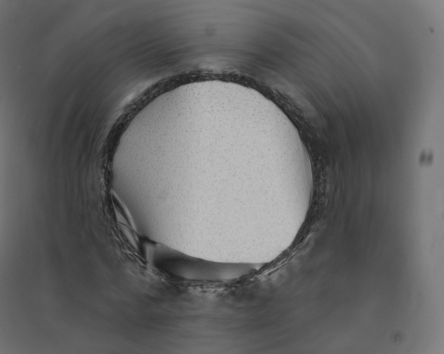 X0000094380776200711242021