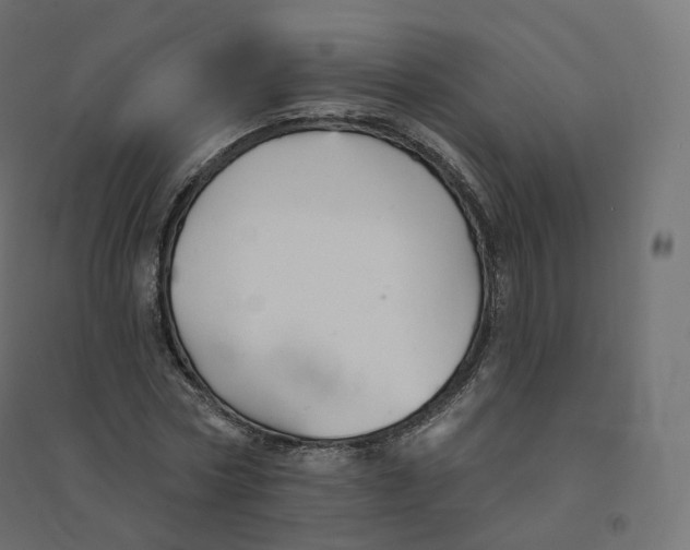 X0000094380778200711242021