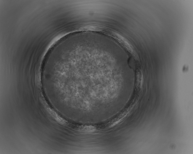X0000094380784200711242021
