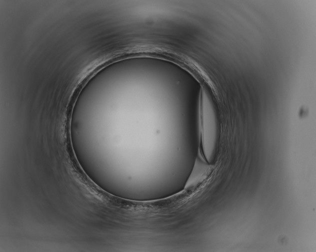 X0000094380786200711242021