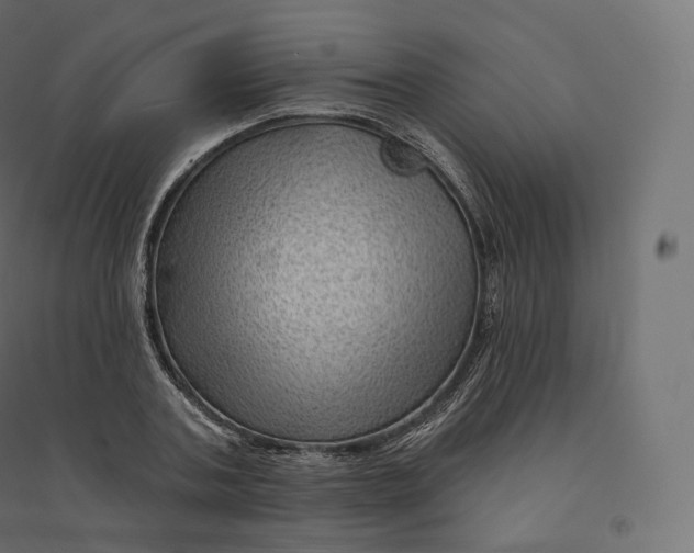 X0000094380787200711242021