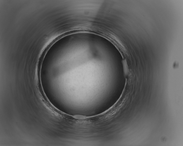 X0000094380788200711242021