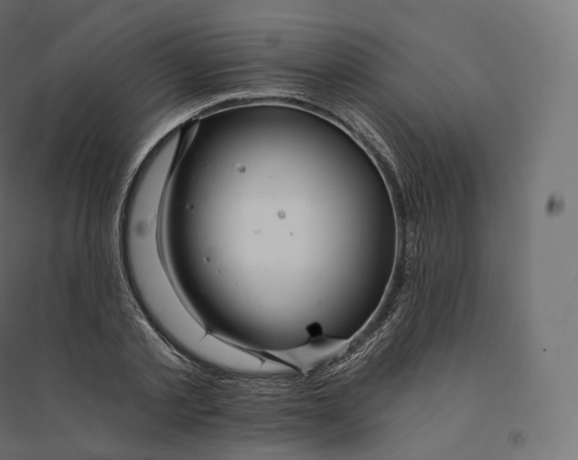 X0000094380789200711242021