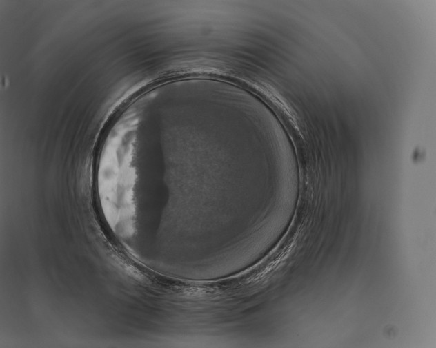 X0000094380790200711242021