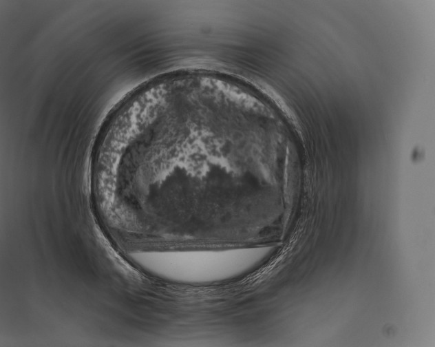 X0000094380791200711242021