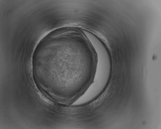X0000094380792200711242021