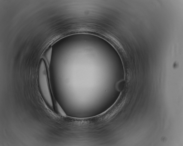 X0000094380793200711242021