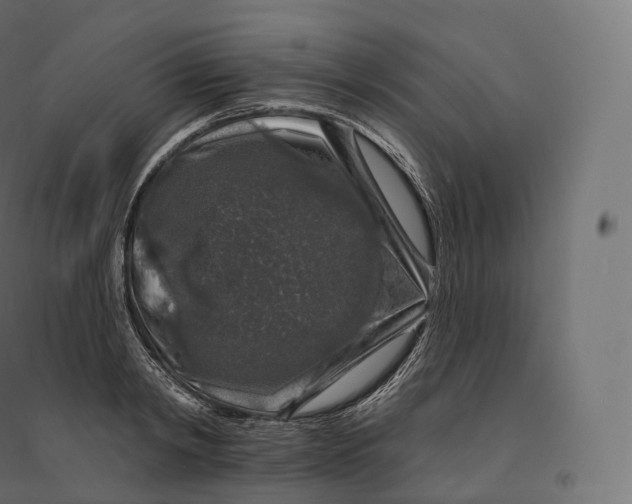 X0000094380798200711242021