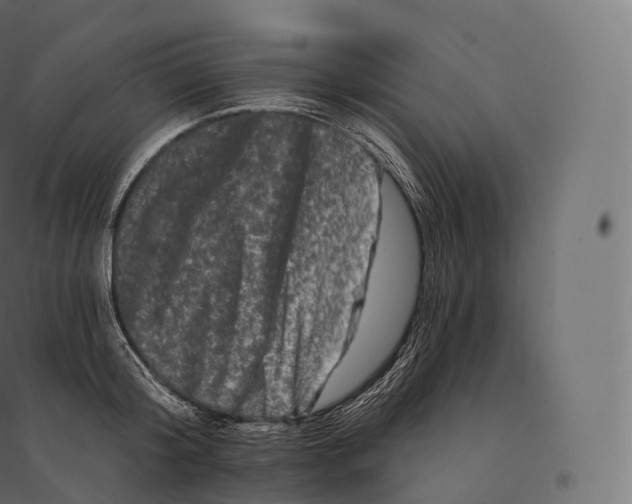X0000094380804200711242021