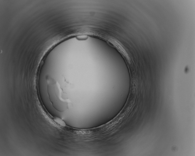 X0000094380805200711242021