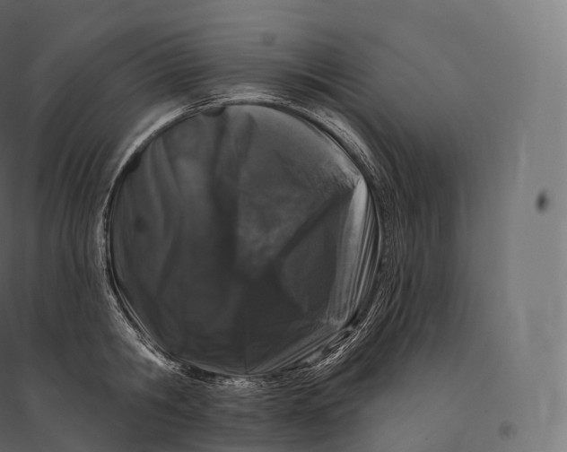 X0000094380806200711242021