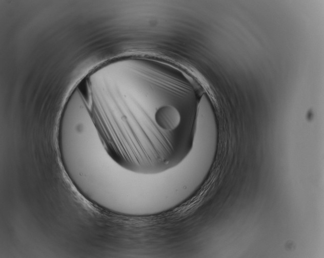 X0000094380807200711242021