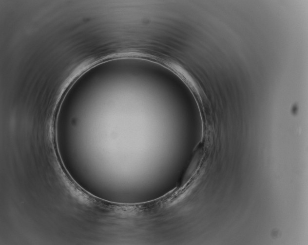 X0000094380813200711242021