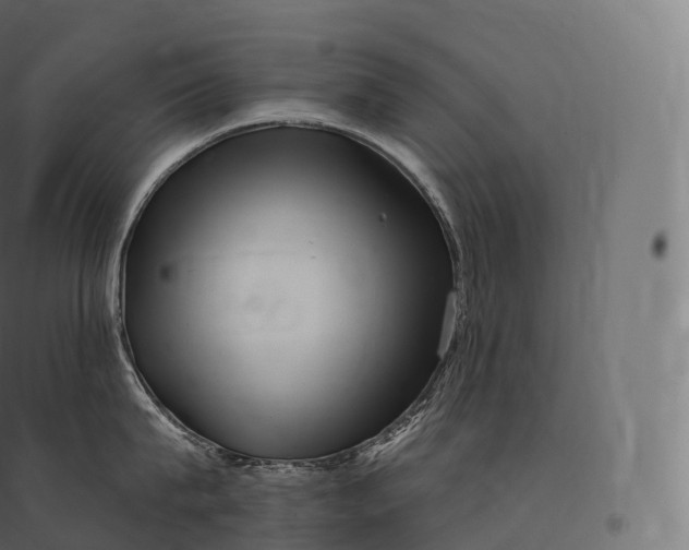 X0000094380815200711242021