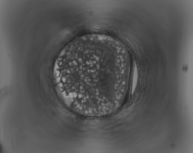 X0000094380817200711242020