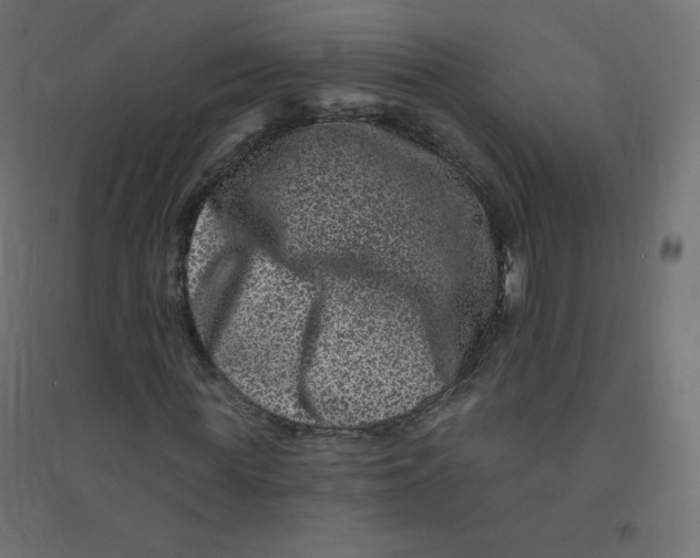 X0000094380819200711242020
