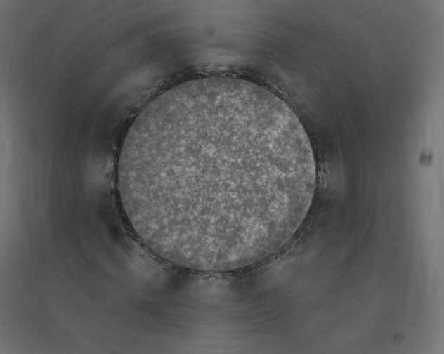 X0000094380820200711242020