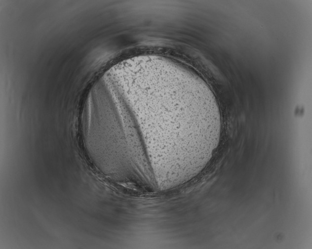 X0000094380821200711242020