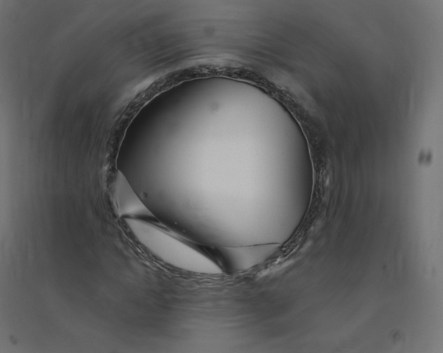 X0000094380822200711242020