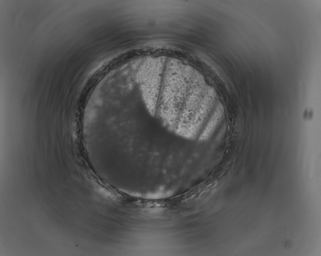 X0000094380823200711242020