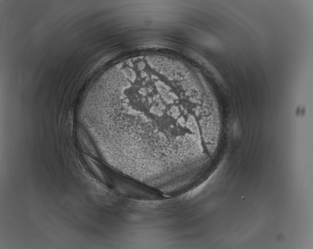X0000094380825200711242020