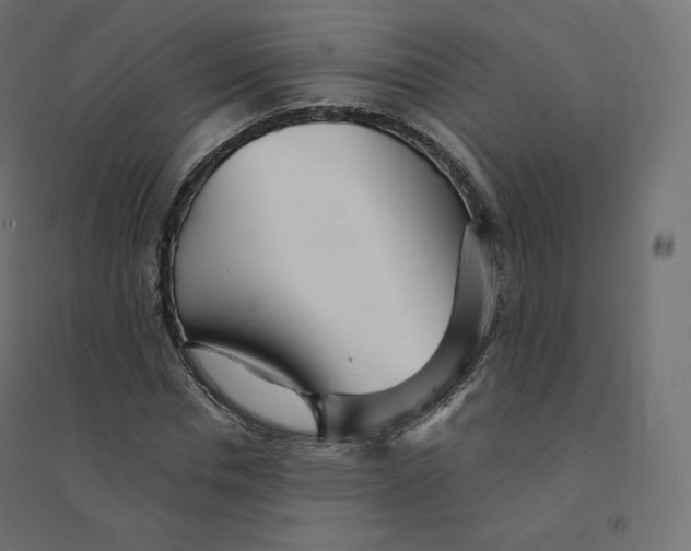 X0000094380826200711242020