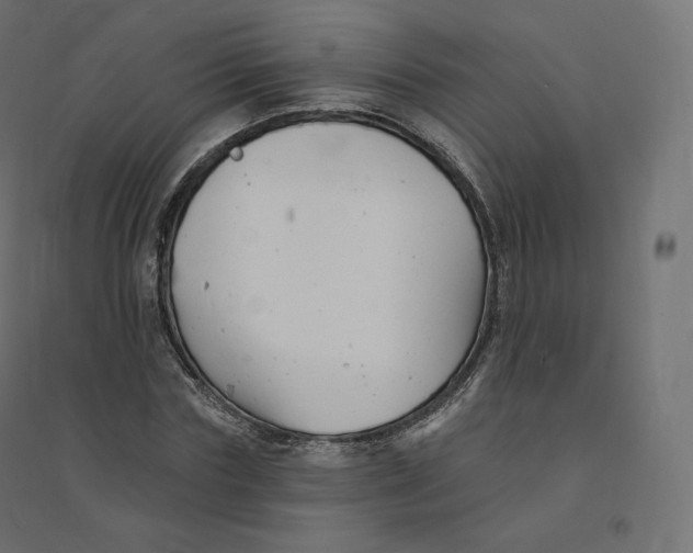 X0000094380827200711242020