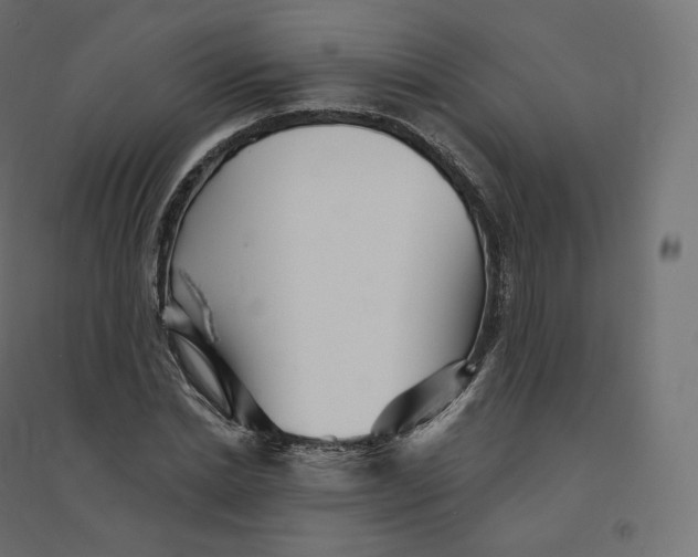 X0000094380830200711242020