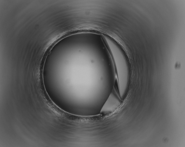 X0000094380834200711242020