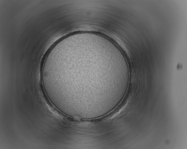 X0000094380837200711242020