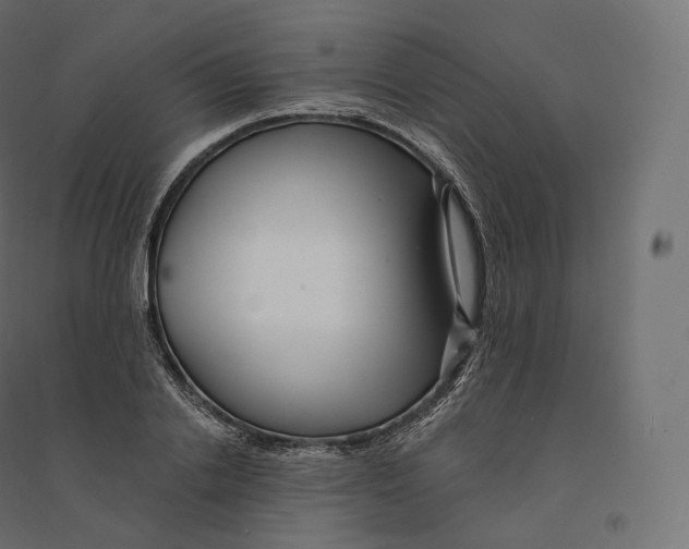 X0000094380838200711242020