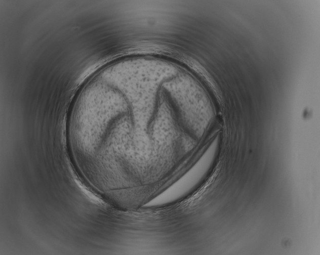 X0000094380842200711242020