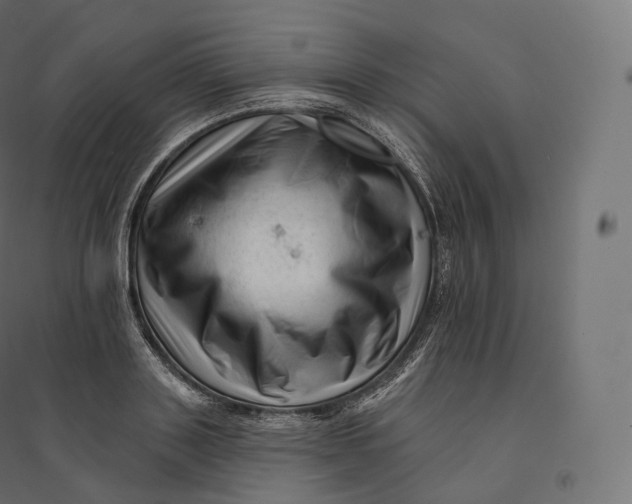 X0000094380843200711242020