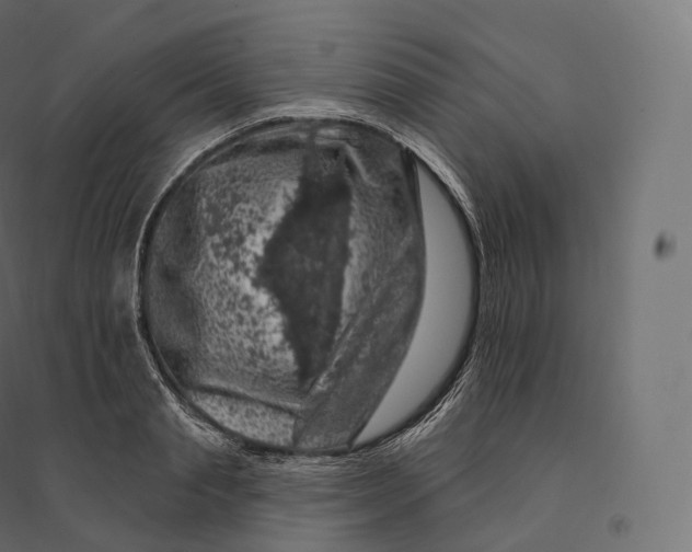X0000094380845200711242020
