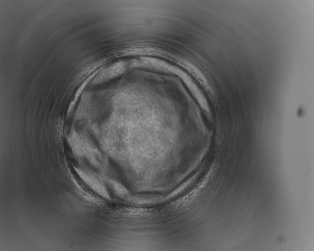 X0000094380849200711242021